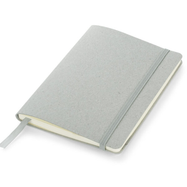 Reuzi B6 notes
