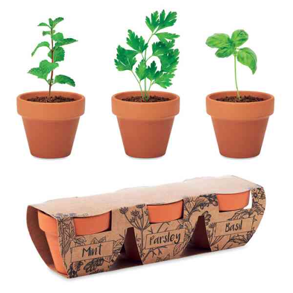 Set sjemena u glinenoj teglici FLOWERPOT| poslovni promotivni pokloni | promopoint.hr