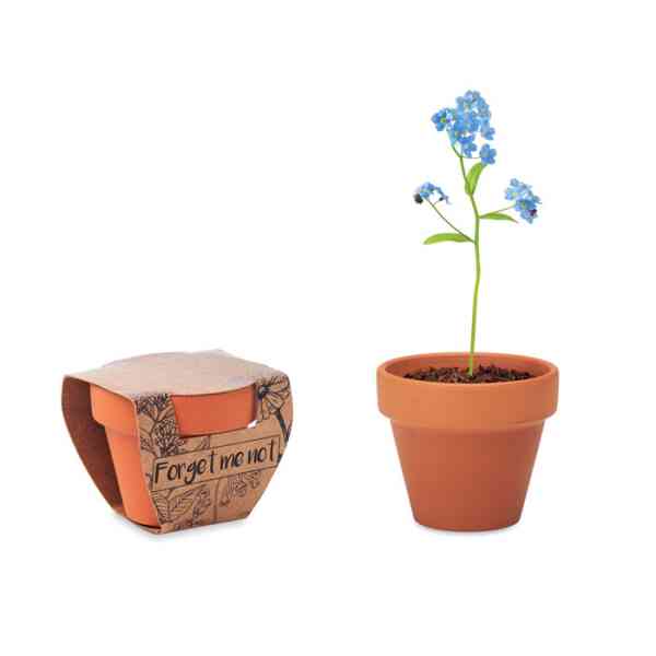 Teglica od terakote sa sjemenom FORGET ME NOT| poslovni promotivni pokloni | promopoint.hr