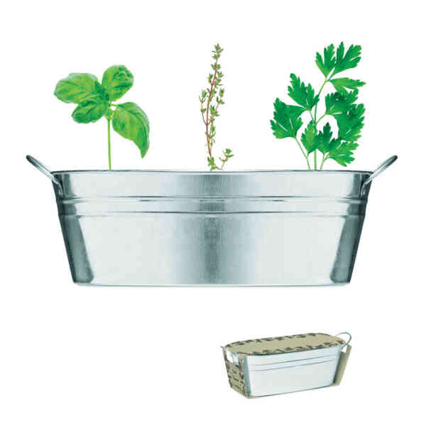 Posuda sa sjemenjem MIX SEEDS