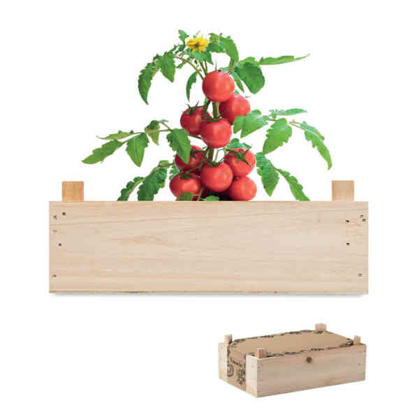 Set za uzgoj rajčica TOMATO