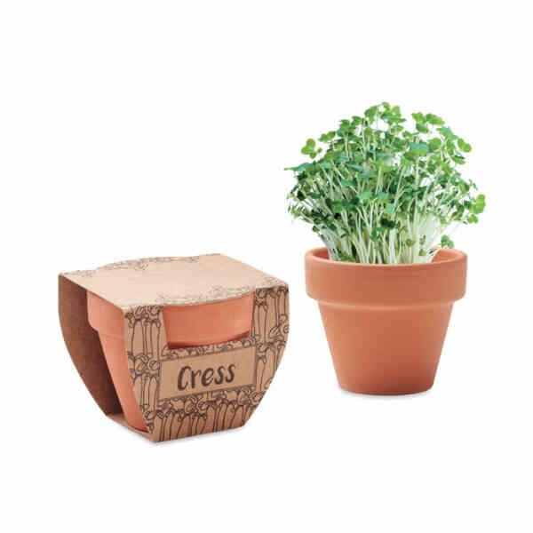 CRESS POT Terracotta lonac sjemenke kreše